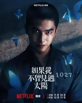 如果我不曾见过太阳 海报